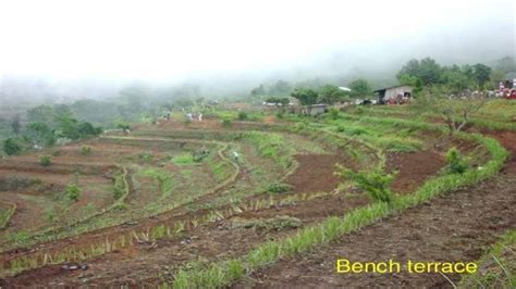 Bench terracing