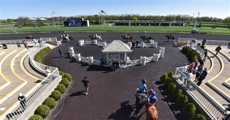 ‘Strong proposals from numerous parties’ to buy Arlington Park - The Property Reporter