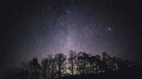 Free stock photo of forest at night, milky way, milkyway