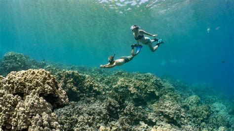 Kona Snorkeling Tour | Kona Snorkel Trips