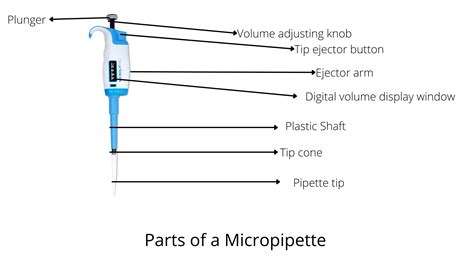 Micropipette: Parts, Types, and Uses – Microbe Online