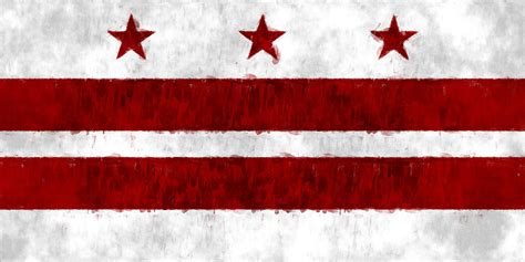 Washington D.C. Flag Digital Art by World Art Prints And Designs - Fine ...