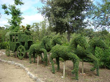 El Bosque encantado jardin botanico en madrid - para bebés, niños y ...