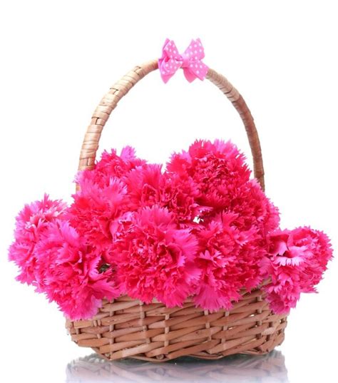 Premium Photo | Beautiful pink carnations in basket isolated on white