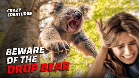 The Drop Bear: Australia's Deadliest Myth - YouTube