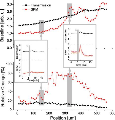 (Color online) Steady-state signal (top) and relative change (bottom)... | Download Scientific ...