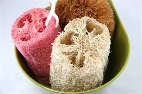 How to Clean a Loofah or Natural Sponge: 6 Steps (with Pictures)