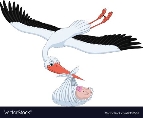 Stork and baby Royalty Free Vector Image - VectorStock