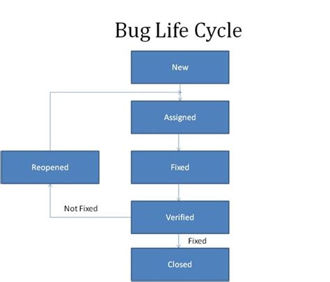 Software Testing: Bug Life Cycle-Definitions and different Severities and Priorities