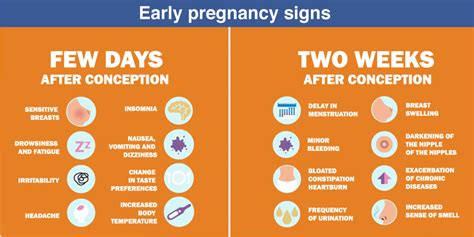 Pregnancy Symptoms Before Period In Hindi, - Pregnancy Sympthom