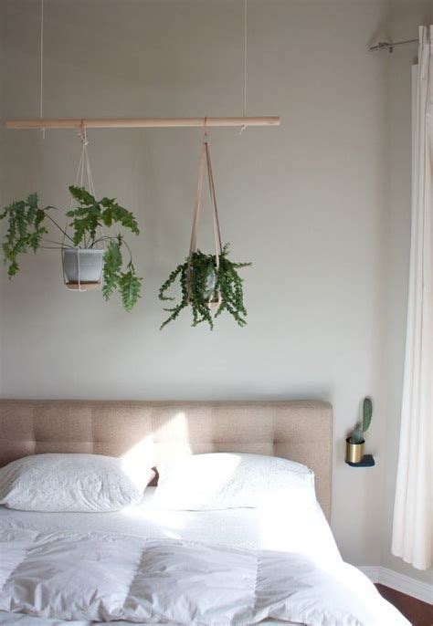 Hanging Indoor Plants Bedroom #plantideas #plant #ideas | Indoor plants bedroom, Bedroom plants ...