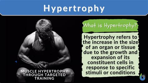 Hypertrophy - Definition and Examples - Biology Online Dictionary