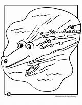Alligators And Crocodiles Coloring Pages Download Print For Free sketch template