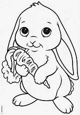 Resultado de imagen Para Conejito Tierno Dibujo  Animal coloring Pages sketch template