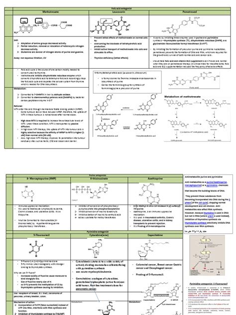 Antineoplastics | PDF | Biosynthesis | Biochemistry