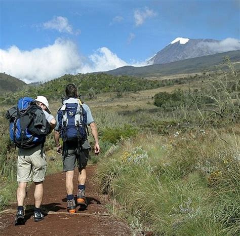 Day Trip to Hike Mountain Kilimanjaro - LuiTours and Safaris