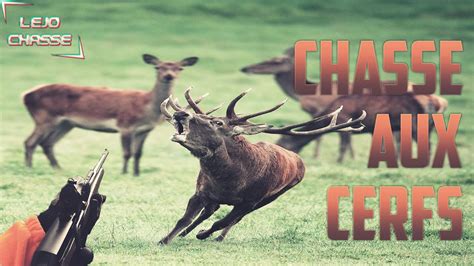 Chasse aux Cerfs - Mon premier Cervidé - LeJoChasse - YouTube