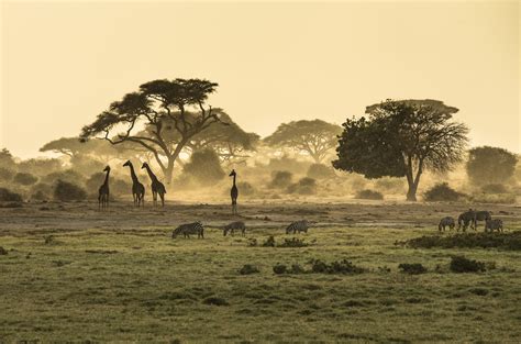 Viajar por África: los 4 motivos por los que NO deberías hacerlo ...