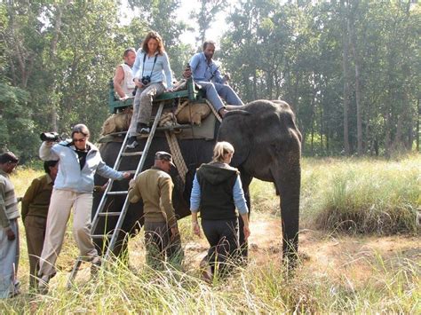 Elephant Safari, Kanha National Park - Timings, Safari Cost, Best Time to Visit