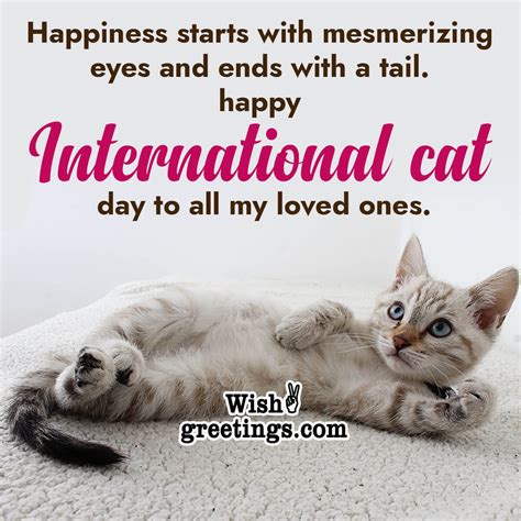 International Cat Day Wishes, Messages, Quotes - Wish Greetings