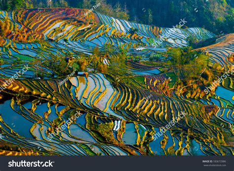 2,890 Yuanyang Rice Terraces Images, Stock Photos & Vectors | Shutterstock