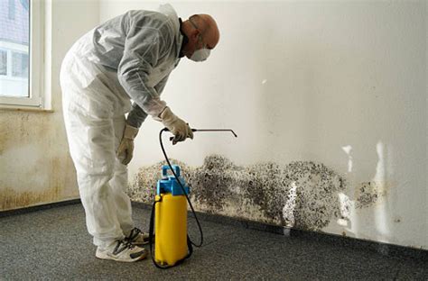 Basement Mold Removal in TX, LA, MS, AL & FL | Mold Remediation