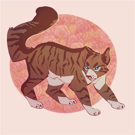 Hawkfrost by Shimmerspirit on DeviantArt