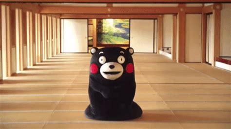 Kumamon GIF - Find & Share on GIPHY