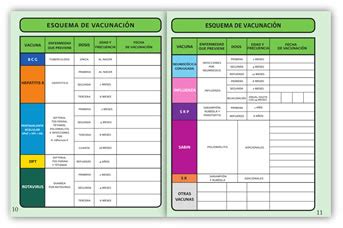 CARTILLA DE VACUNACION MEXICO PDF