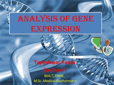 Analysis of gene expression