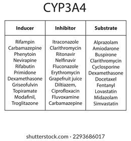 Cytochrome Cyp3a4 Table Inhibitors Inducers Substrates Stock Vector ...