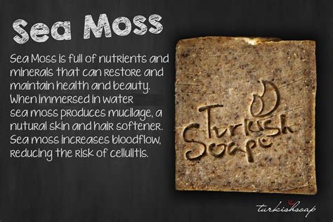 Jason B Graham | Handmade Sea Moss Soap