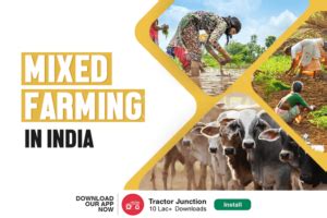 Mixed Farming in India - Types, Characteristics & Benefits