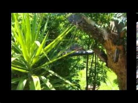 Makalani Holiday Resort - YouTube