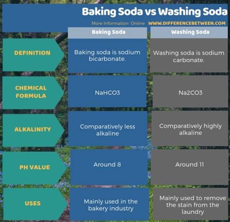 Difference Between Baking Soda and Washing Soda | Compare the Difference Between Similar Terms