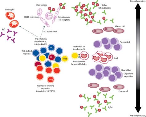 Advances in IgG4-related pancreatobiliary diseases - The Lancet Gastroenterology & Hepatology