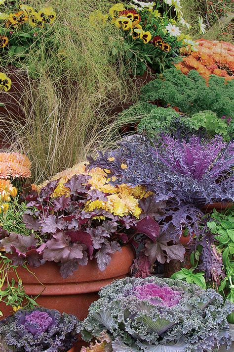 Containers That Keep Kicking Into Fall - Fine Gardening