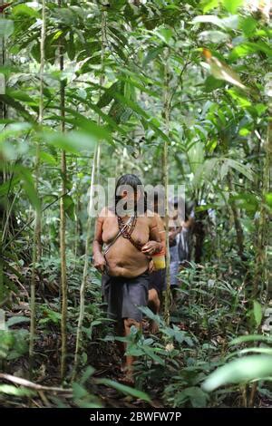 PERU: THE WOMEN OF THE MATSES TRIBE IN REMOYACU HAVE TRIBAL FACIAL ...