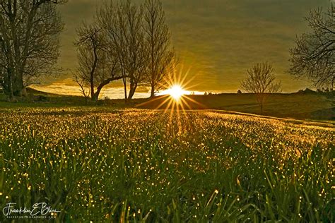 Dewey Backyard Crack of Dawn - Bliss Photographics Weather