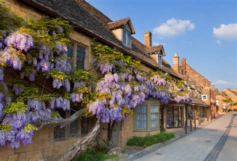 An immaculate and charming Cotswolds home with a picture-perfect ...