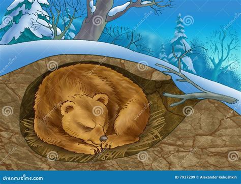 Bear in a den stock illustration. Illustration of mammalian - 7937209