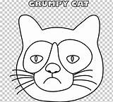 Whiskers Grumpy Cat Coloring Book Drawing PNG Clipart Angle Animals  sketch template