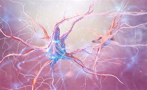 Scientists have identified a group of proteins that help to regenerate damaged nerve cells ...