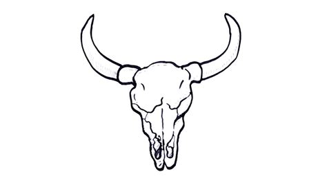 How to draw bull skull easy. - YouTube