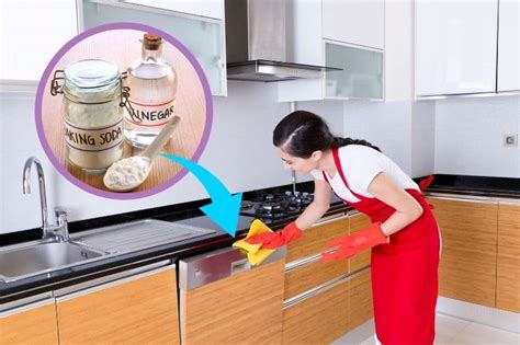 Cleaning a Dishwasher with Vinegar – Everything You Need to Know