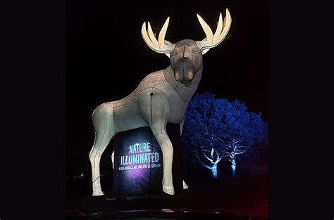 Score a Free Pass to the Minnesota Zoo's Nature Illuminated