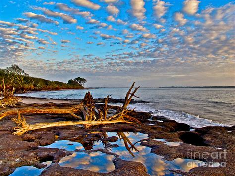 Big Talbot Island by Scott Moore