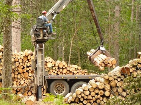 Getting the Wood Out - Forestry