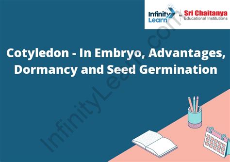 Cotyledon - In Embryo, Advantages, Dormancy and Seed Germination