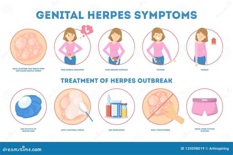 Genital Herpes Symptoms. Infectious Dermatology Disease Illustration ...